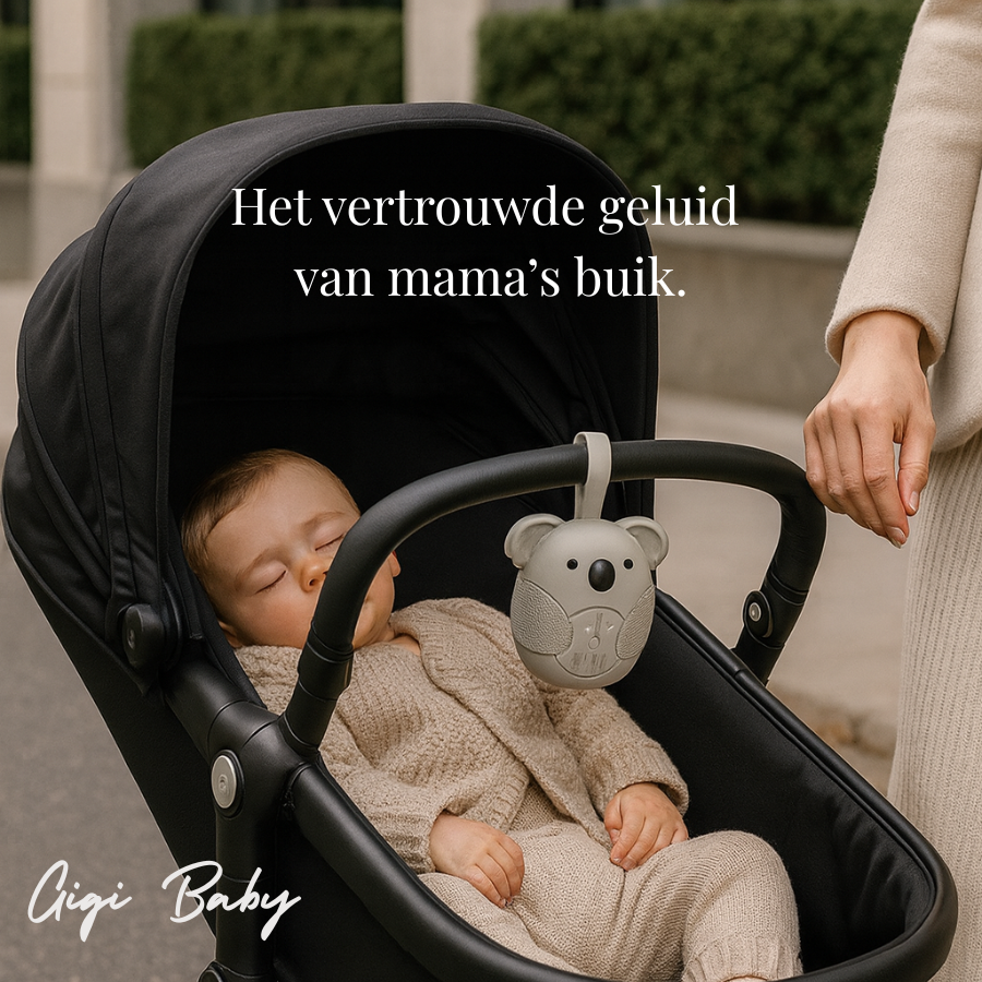 White Noise Koala beertje