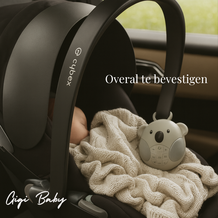 White Noise Koala beertje