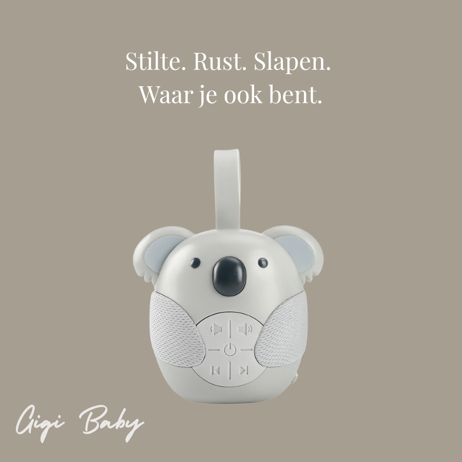 White Noise Koala beertje