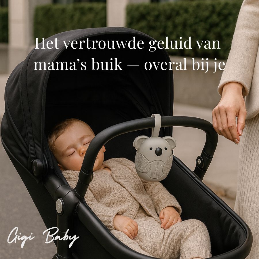 White Noise Koala beertje