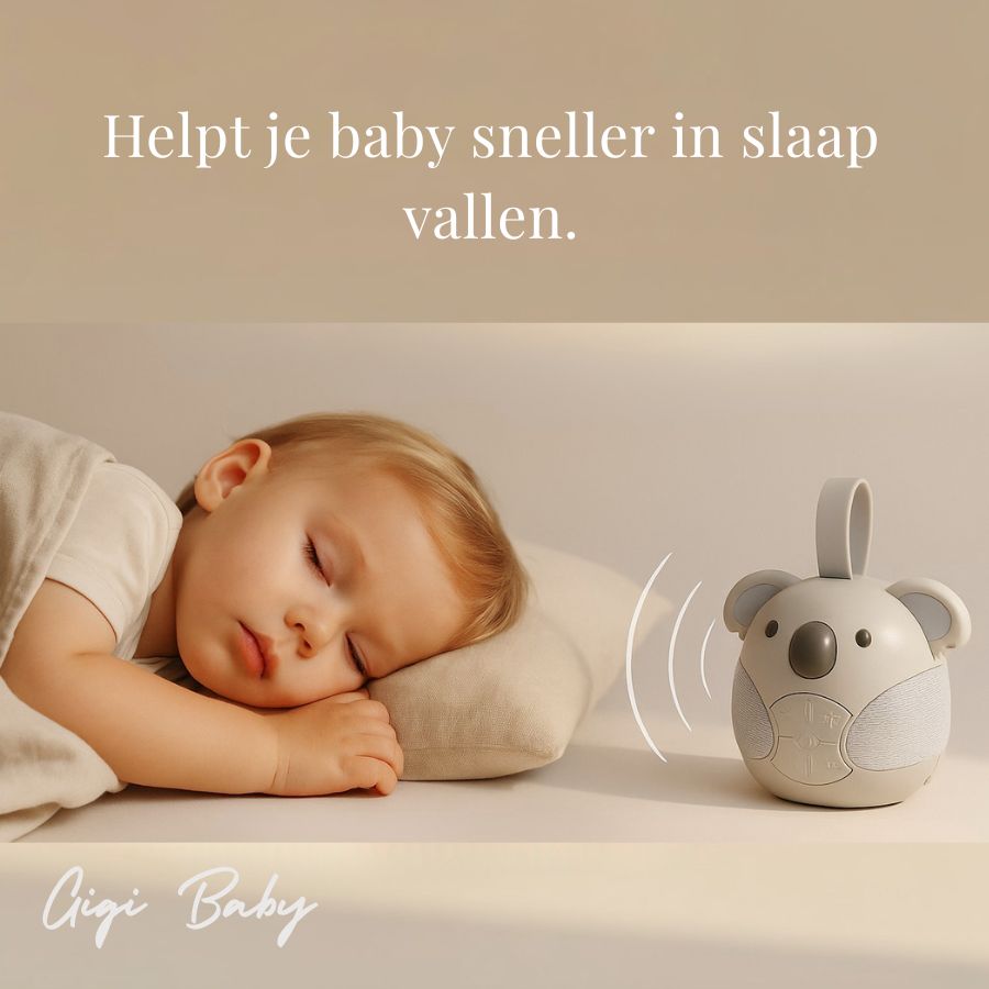 White Noise Koala beertje