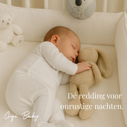 White Noise Koala beertje